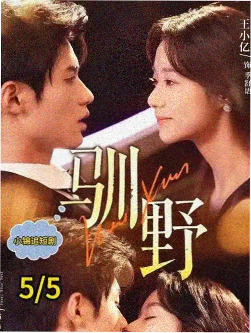国产剧集城中之城封面